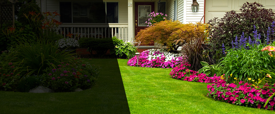 Iola Landscapers