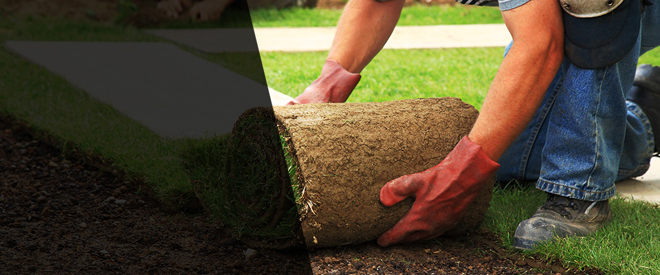 Iola Landscapers